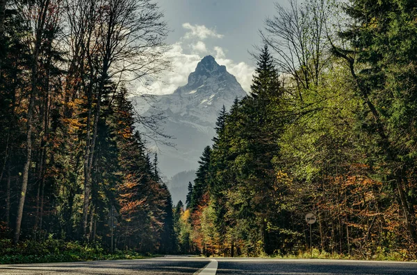 Dağın yüceliği. Dombay. Karachay-Çerkessia