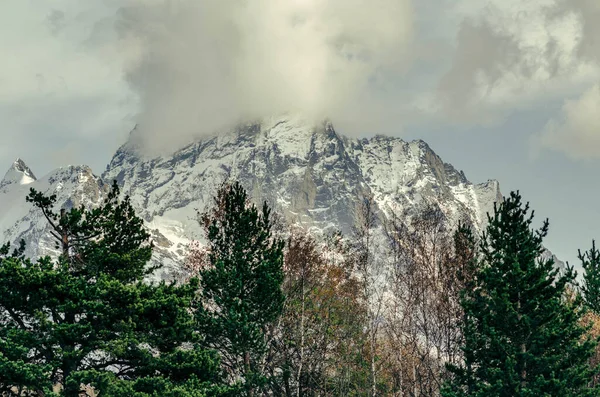 Dağın yüceliği. Dombay. Karachay-Çerkessia