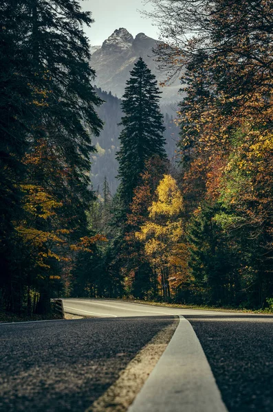 Sonbaharda büyük dağlar. Dombay, Karachay-Çerkessia