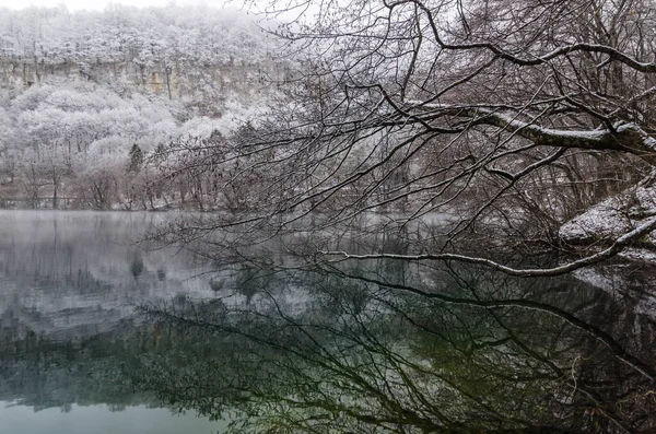 Göldeki ağaçların yansıması ve kristal berrak mavi su ile muhteşem bir manzara. Yer Mavi Göl, Kabardino-Balkaria. Kuzey Kafkasya, Rusya