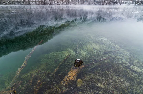 Göldeki ağaçların yansıması ve kristal berrak mavi su ile muhteşem bir manzara. Yer Mavi Göl, Kabardino-Balkaria. Kuzey Kafkasya, Rusya