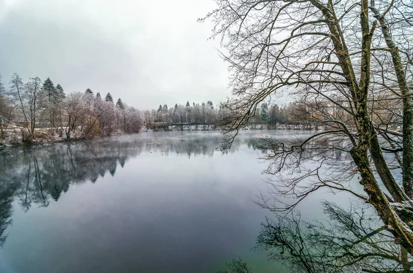 Göldeki ağaçların yansıması ve kristal berrak mavi su ile muhteşem bir manzara. Yer Mavi Göl, Kabardino-Balkaria. Kuzey Kafkasya, Rusya