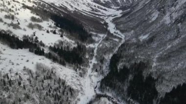Görkemli karlı dağlar ve ormanlar. Konum Dombay, Rusya