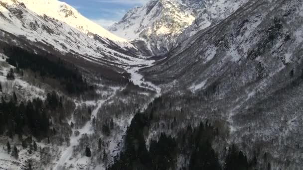 Majestätische Schneebedeckte Berge Und Wälder Ort Dombay Russland — Stockvideo