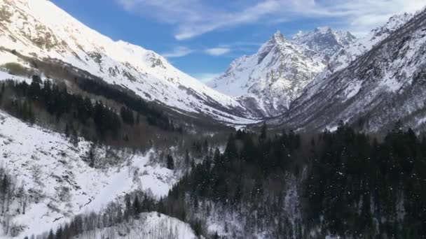 Majestuosas Montañas Nevadas Bosques Ubicación Dombay Rusia — Vídeo de stock
