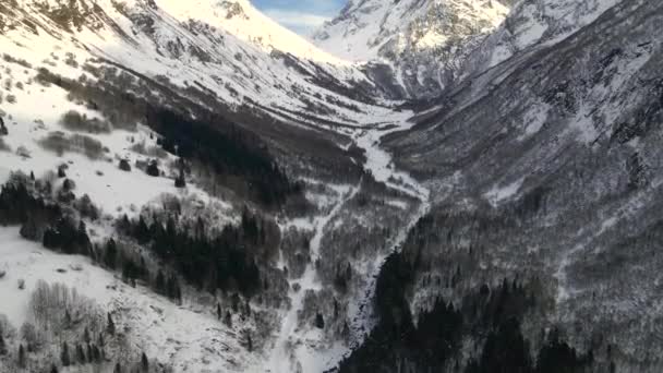 Majestuosas Montañas Nevadas Bosques Ubicación Dombay Rusia — Vídeo de stock