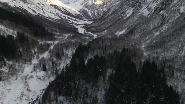 Majestätiska Snötäckta Berg Och Skog Plats Dombay Ryssland — Stockvideo