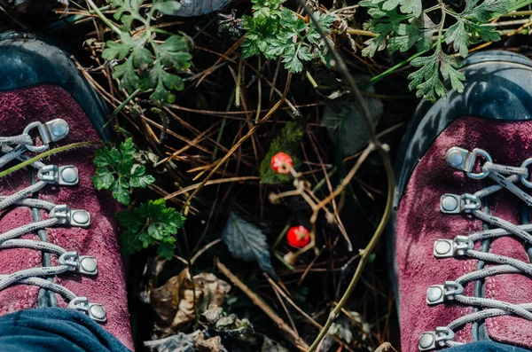 Yürüyüş ayakkabılarını giy. Çim. Ormanda bir kadın duruyor. Mesaj için yer. Yukarıdan görüntüle