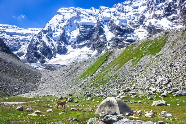 Campamento con altos moutains nevados sobre un fondo de montañas —  Fotos de Stock