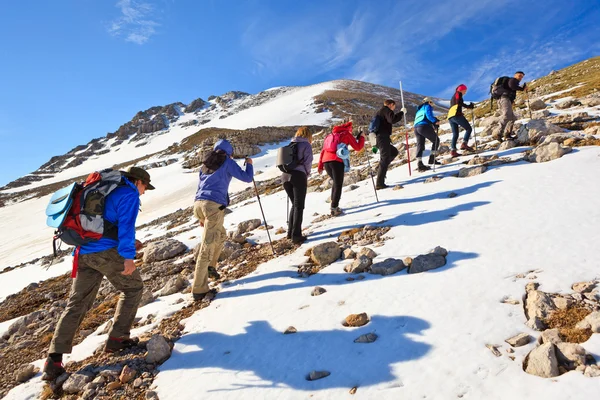 集团的登山者攀登到顶部 — 图库照片