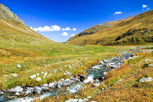 Fiume di montagna — Foto Stock