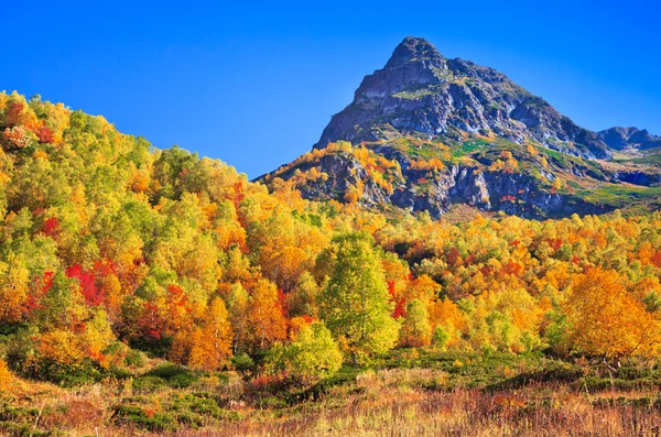 Autumn mountain landscape — Stock Photo, Image