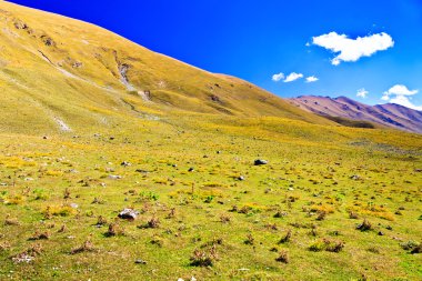 dağ yamaçları sonbaharda