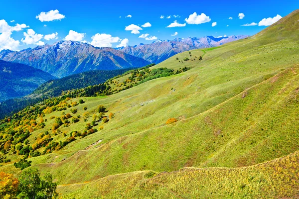 güzel panoramik Dağları ve çayırlar