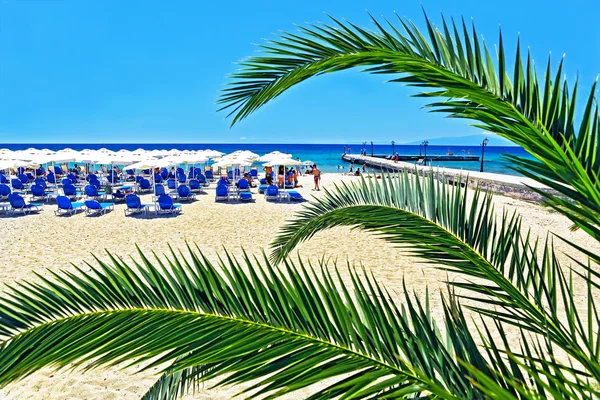 Vista de la playa con gente de descanso, tumbonas y sombrillas — Foto de Stock