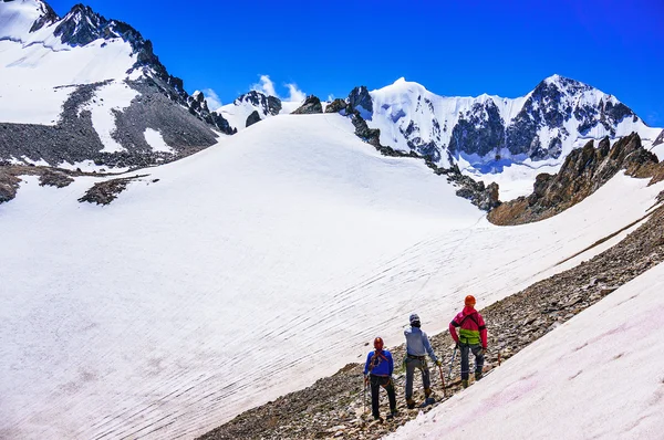 Group of climbers looking at snow-capped mountains and glacier — Stock Photo, Image