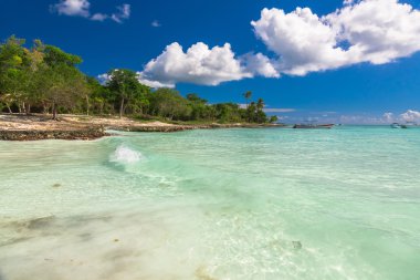 Güzel manzarasına Coral Beach üzerinde Saona, Dominik Cumhuriyeti