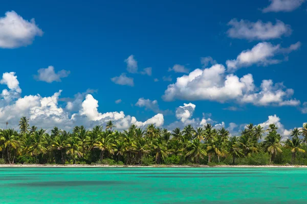 Panoramisch uitzicht van exotische palmbomen en lagune op het tropische eiland strand — Stockfoto