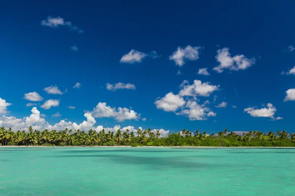 Panoramautsikt över exotiska palmer och lagunen på tropisk ö stranden — Stockfoto