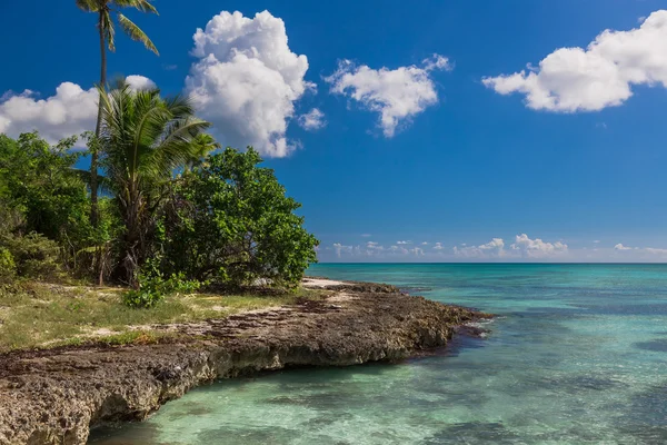 Praia tropical de coral selvagem, Ilha de Saona, Mar do Caribe — Fotografia de Stock