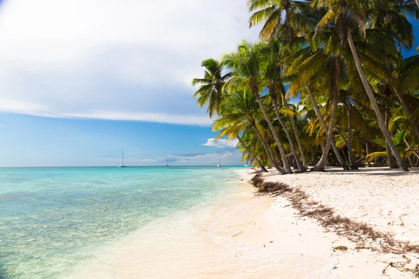 Praia do Caribe em Samaná, República Dominicana — Fotografia de Stock