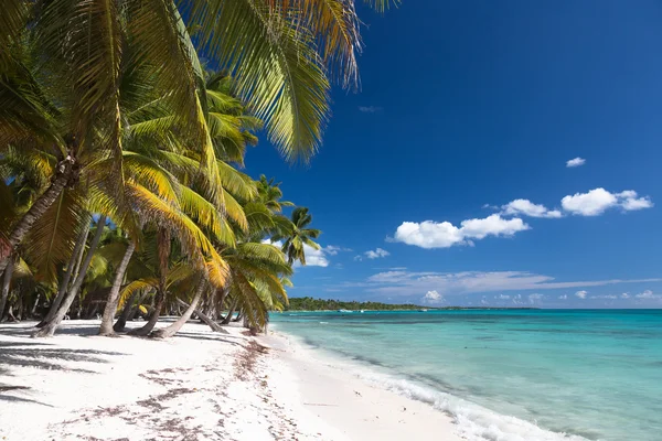 Bela praia caribenha na ilha de Saona, República Dominicana — Fotografia de Stock