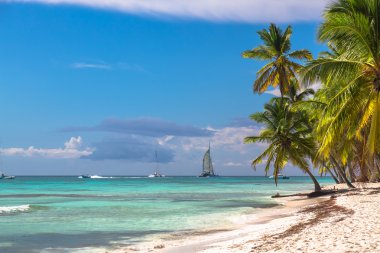 Peyzaj cennet tropikal ada plaj ve katamaran