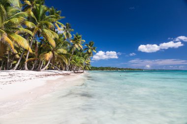 Karayip kumsalda güzel: Saona Island, Dominik Cumhuriyeti