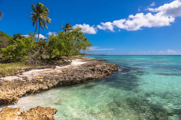 Wild coral tropical beach, Saona Island, Caribbean Sea — Stock Photo, Image