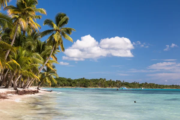 Paisaje del paraíso playa isla tropical con cielo soleado perfecto — Foto de Stock