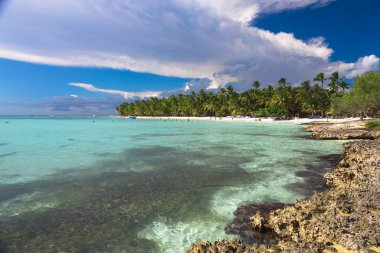 Karayip kumsalda güzel: Saona Island, Dominik Cumhuriyeti