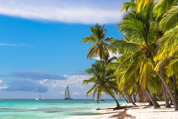 Paisaje del paraíso isla tropical playa y catamaranes — Foto de Stock