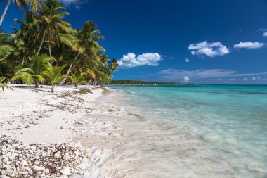 Mercan Karayip Denizi, Saona Adası, Dominik Cumhuriyeti ile tropikal plaj