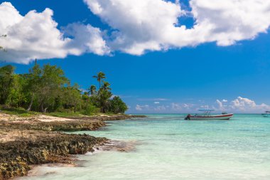 Güzel manzarasına Coral Beach üzerinde Saona, Dominik Cumhuriyeti