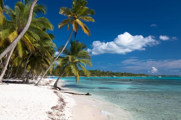 Hermosa playa caribeña en la isla Saona, República Dominicana — Foto de Stock