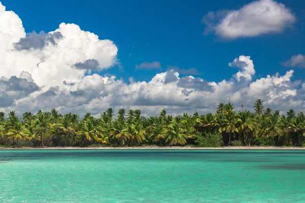 Panoramablick auf exotische Palmen und Lagune am tropischen Inselstrand — Stockfoto