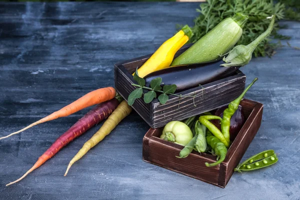 Composição de verduras em umas caixas de madeira — Fotografia de Stock