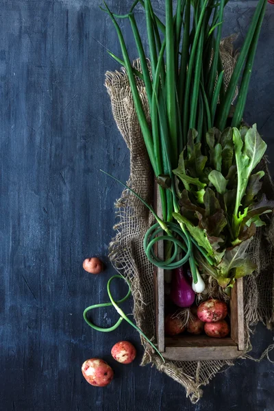 Vegetais frescos ingredientes para cozinhar no fundo escuro, vista superior, lugar texto — Fotografia de Stock
