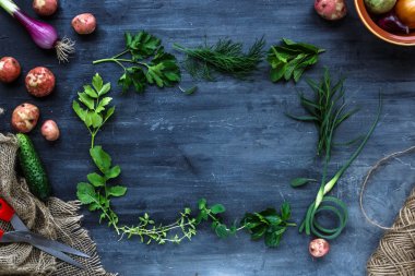 Koyu arka plan karede taze otlar: maydanoz, dereotu, kereviz, kekik, mercanköşk, metin için yer