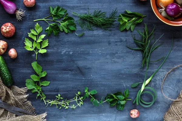 Moldura de ervas frescas no fundo escuro: salsa, endro, aipo, tomilho, manjerona, lugar para texto — Fotografia de Stock