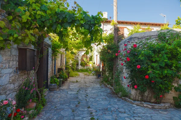 Çiçekli antik cadde