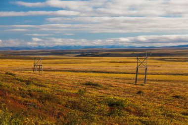 Colorful autumn tundra clipart