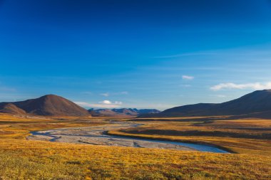 Colorful autumn tundra and river Amguema Arctic Circle, Russia clipart