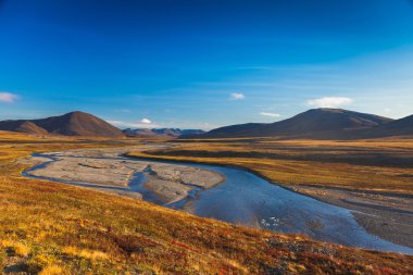 Colorful autumn tundra and river Amguema Arctic Circle, Russia clipart