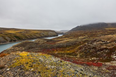 Colorful tundra in fog and river Amguema Arctic Circle, Russia clipart