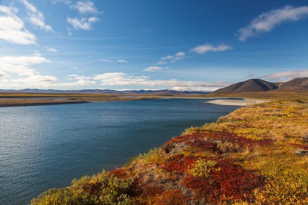 Färgglad höst tundra och floden amguema polcirkeln, Ryssland — Stockfoto