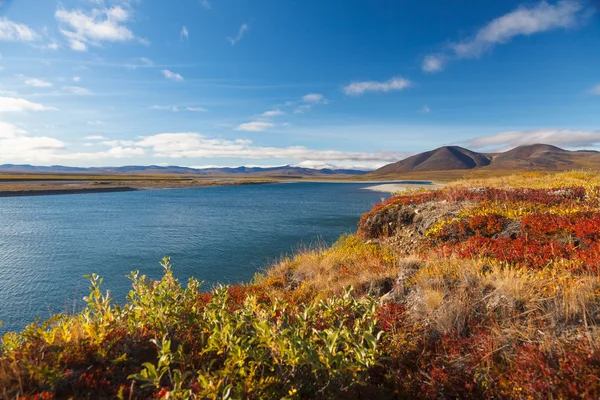 Colorful autumn tundra and river Amguema Arctic Circle, Russia — Stock Photo, Image