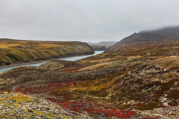 Herfst toendra in mist en rivier amguema poolcirkel, Rusland — Stockfoto