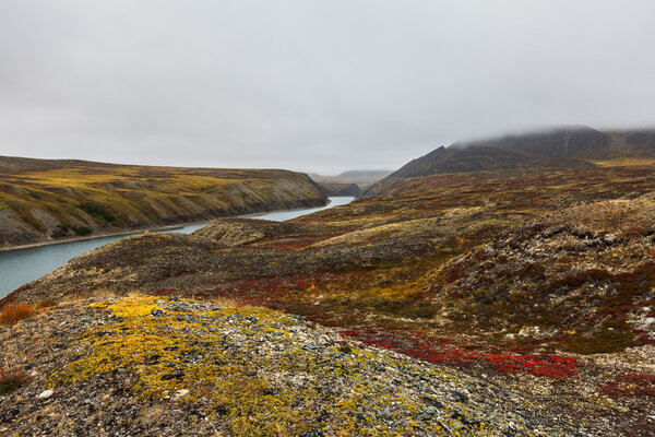Colorful tundra in fog and river Amguema Arctic Circle, Russia