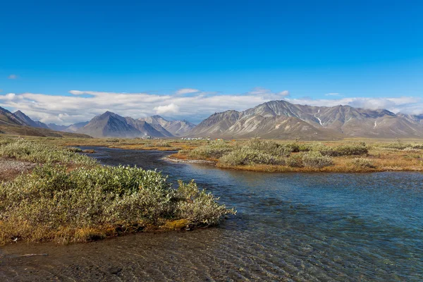 Färgglada tundran framför floden och bergen, Ryssland — Stockfoto